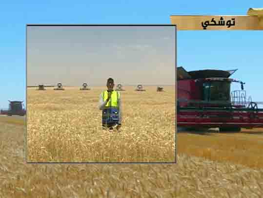 الرئيس السيسي يفتتح موسم حصاد القمح من مشروع مستقبل مصر بالفيديو كونفرانس