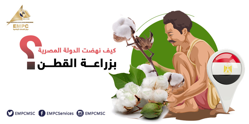 How did the Egyptian government advance cotton cultivation?