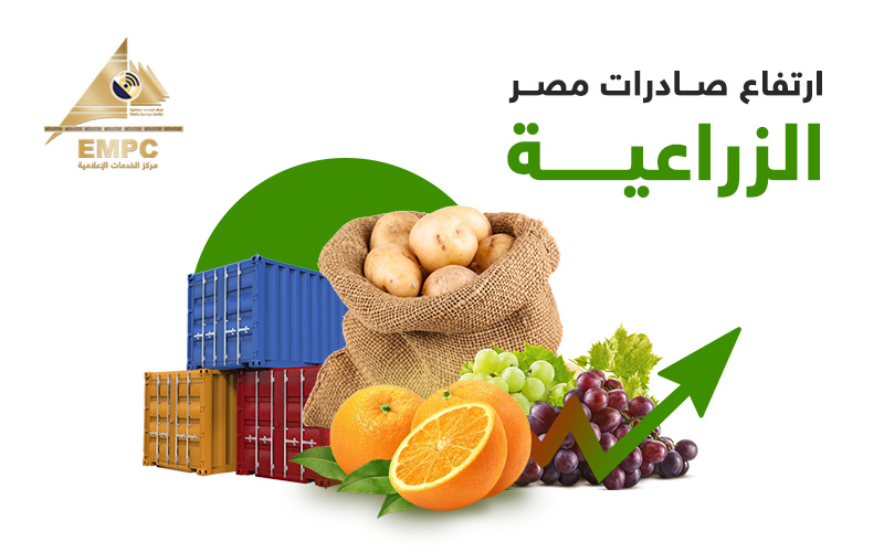صادرات مصر الزراعية.. الموالح فى المقدمة بمليون و630 ألف طن