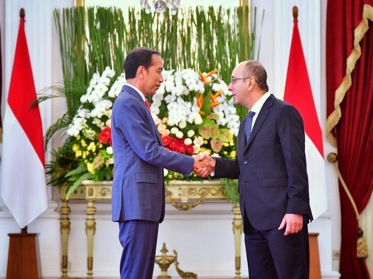 الرئيس الإندونيسى: مصر الشريك المحوري لنا في منطقة الشرق الأوسط وإفريقيا