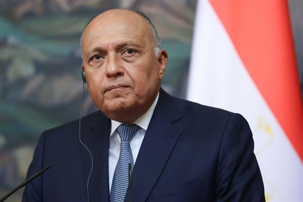 Shoukry stresses the need for the international community to commit to imposing measures obligating Israel to provide the humanitarian needs of Gaza